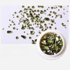 Kép 1/4 - Vegyes forma strassz több méretben - olivine