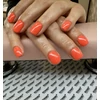 Kép 5/7 - Roniki Rose red széria TPO free - 12 gél lakk