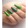 Kép 2/4 - Roniki Forest green széria - 04 gél lakk