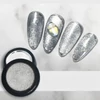 Kép 4/6 - Silver cat eye pigment