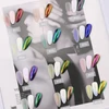 Kép 10/10 - Rainbow aurora pigment 04