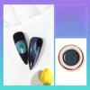 Kép 1/7 - 5D chameleon cat eye pigment 11