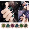 Kép 5/6 - 5D chameleon cat eye pigment 12