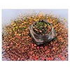 Kép 1/6 - Chameleon chunky glitter 06