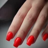 Kép 4/4 - LACK GEL S073 8ML - hema mentes géllakk