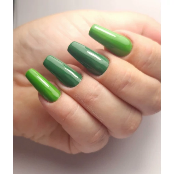 Roniki Forest green széria - 09 gél lakk