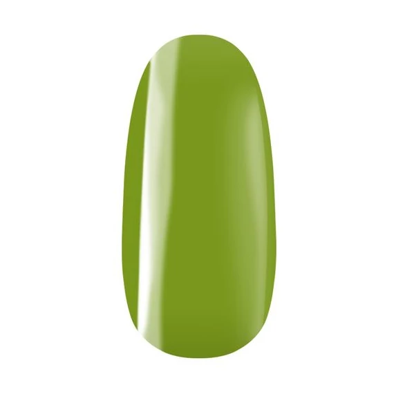 Színes porcelánpor 307 - khaki zöld